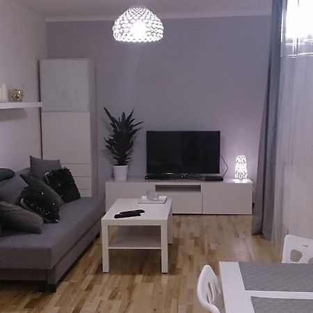 1 Bedroom City Center Apartment Katovice Pokoj fotografie